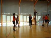 Volleyball 2007 005.jpg